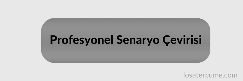 Senaryo Çevirisi, dizi senaryo çevirisi, sinema filmi senaryo çevirisi, Profesyonel senaryo çevirisi.