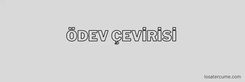 Ödev Çevirisi